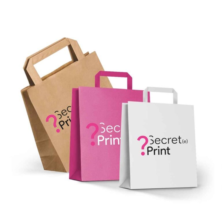 Sac papier à anses plates