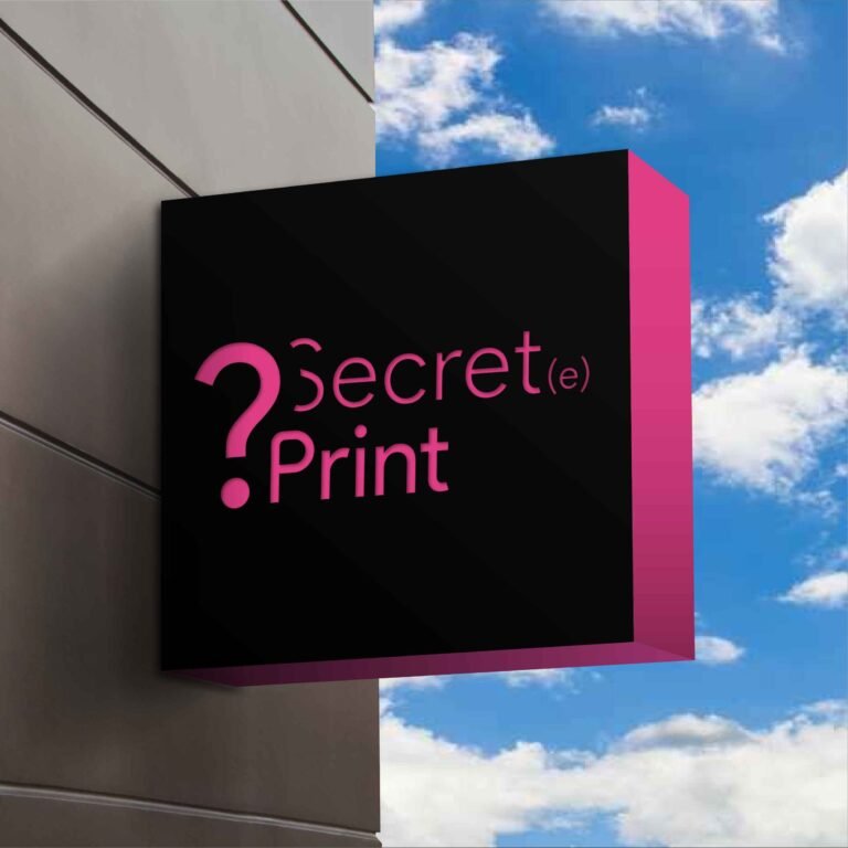 Enseigne lumineuse drapeau mixte